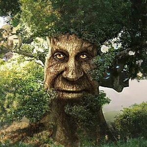 artworks-CyTzk0PMsjHFfr7D-S8wWcw-t500x500.jpg