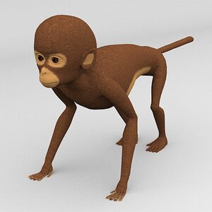 Monkey_01.jpg