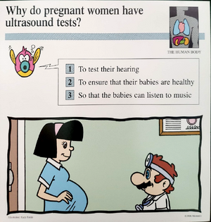 Why do pregnant women have ultrasound tests- (Front).png