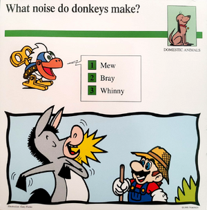 What noise do donkeys make- (Front).png