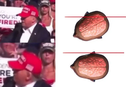 trump head.png