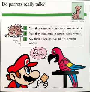 Do parrots really talk- (Front).png