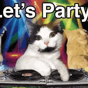 cat-lets-party.gif