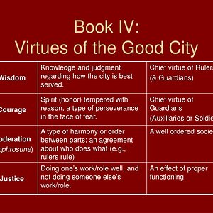 book-iv-virtues-of-the-good-city-l.jpg