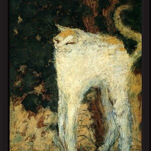 famous-cat-paintings_The-White-Cat-by-Pierre-Bonnard.jpg