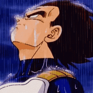 vegeta-raining.gif