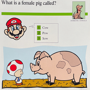 What is a female pig called- (Front).png