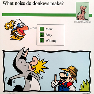 What noise do donkeys make- (Front).png