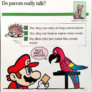 Do parrots really talk- (Front).png