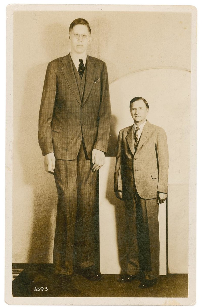 800px-Robert_Wadlow_postcardd.jpg