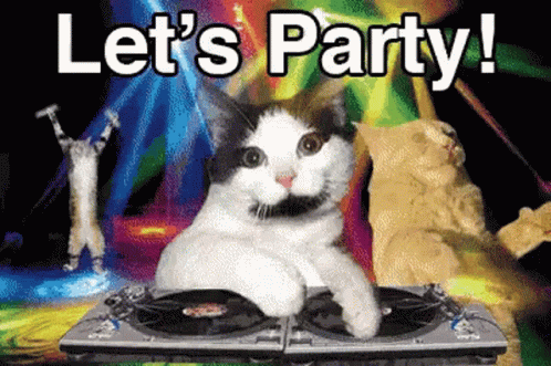 cat-lets-party.gif