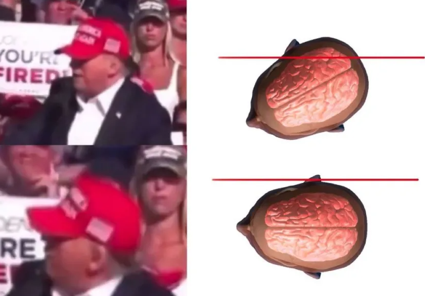 trump head.png