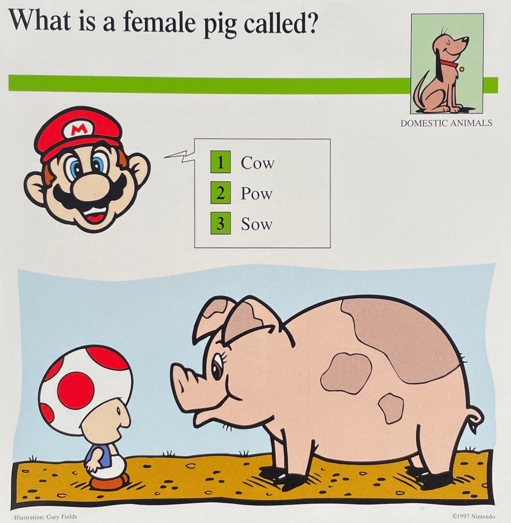 What is a female pig called- (Front).png